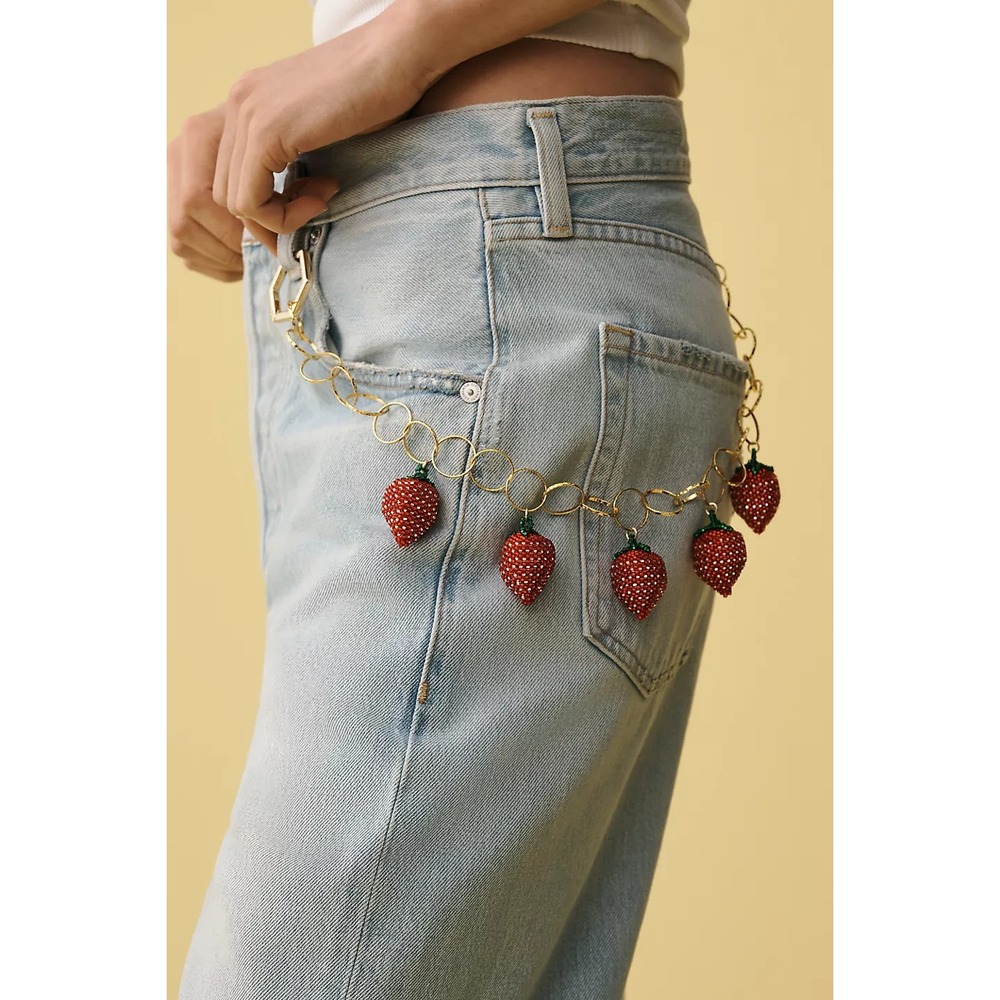 NWT ANTHROPOLOGIE Adjustable Notch Belt Blown Silver Honey Small STRAWBERRY
